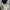 Sportswear Windbreaker Pria cream photo 2