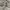 Vintage Bralette Wanita white blue photo 2