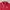 Casual Polo Shirt Pria Red