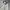 Nike Luxury Casual Track jacket Pria white gray photo 2