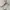 Vintage Streetwear Boots Wanita cream photo 2