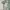 Vintage Streetwear Boots Wanita cream photo 4