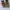 Nike Vintage Streetwear Sneakers Pria white photo 4