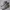 Nike Vintage Streetwear Sneakers Pria White
