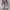 Nike Vintage Streetwear Sneakers Pria white photo 3