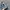 Adidas Sportswear Jumper Pria multicolor photo 4