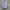 Airwalk Casual Jumper Pria gray photo 1