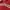 Streetwear Avant Garde Hoody Pria red photo 4