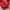 Streetwear Avant Garde Hoody Pria red photo 3
