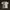 Y2K T-shirt Pria white photo 1