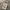 Streetwear Casual Short Pria tan photo 4