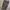 UNIONBAY Vintage Streetwear Short Pria gray photo 5