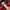 Nudie Casual Harrington jacket Pria red photo 4