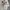 MLB Casual Parka Pria gray photo 4