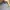 A Bathing Ape Vintage Streetwear Sweatshirt Pria gray photo 4