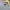 A Bathing Ape Vintage Streetwear Sweatshirt Pria gray photo 3