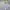 A Bathing Ape Vintage Streetwear Sweatshirt Pria gray photo 2