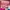 Coquette Casual Wanita multicolor pink photo 3