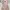 Coquette Casual Casual dress Wanita pink photo 1