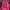 Beanpole Coquette Casual Backpack Wanita Pink