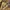 Everbest Luxury Heels Wanita gold photo 2