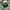 Y2K Hat Pria white green photo 2