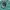 Nudie Minimalist Casual shirt Pria green photo 2