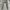 Executive Luxury Minimalist Casual pants Pria gray photo 3