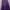 Adidas Sportswear Bomber jacket Pria purple photo 1