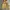 Champion Vintage Streetwear Hoody Pria yellow photo 3