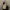 Champion Vintage Streetwear Hoody Pria yellow photo 2