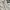 Casual Going out dress Wanita white photo 3