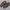 Birkenstock Casual Sandals & slide Pria brown photo 1