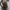 ZARA Casual Backpack Wanita brown photo 5