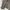Vintage Grunge Formal shirt Pria gray photo 8