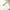 Japanese brand Streetwear Skater Hoody Pria white photo 4