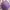Vintage Sweater Wanita purple photo 1