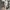 Coquette Minimalist Wanita silver photo 1