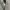 Vintage Y2K Hoody Pria gray photo 3