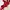 Casual Pyjama Wanita red photo 1