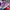 Nike Vintage Casual Sneakers Wanita Purple