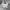 Nike Streetwear Y2K Hoody Pria gray photo 4