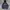 Dickies Streetwear Sportswear Hoody Pria navy red photo 1