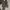 Skater Casual Boots Pria multicolor photo 1