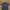 Polo Ralph Lauren Luxury Polo Shirt Pria Navy