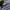 Polo Ralph Lauren Luxury Polo shirt Pria navy photo 3