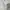 Casual Crop top Wanita white photo 2