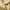 Uniform Bridge Streetwear Casual Casual pants Pria tan photo 4