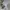 Polo Ralph Lauren Luxury Fleece Pria white black photo 1