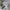 Polo Ralph Lauren Luxury Fleece Pria White Black
